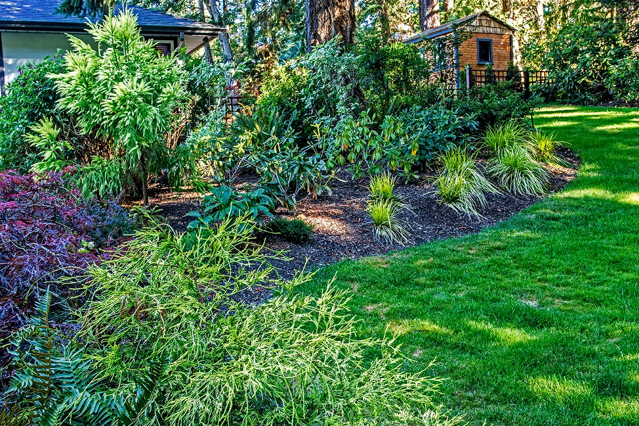 Woodland-Inspired Garden Design with Native Plants & Deer
